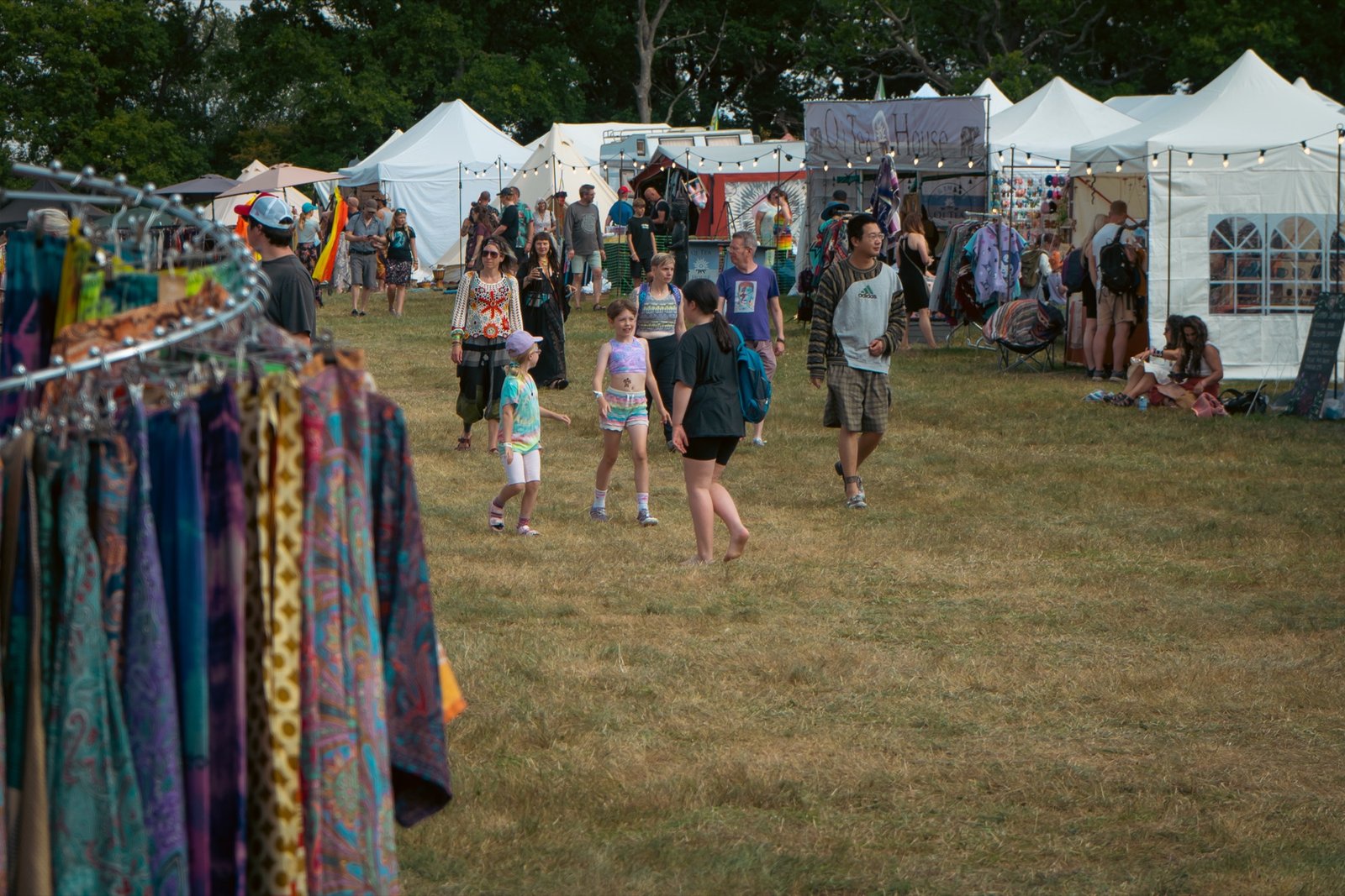 Into the Wild Gathering